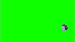 Ninja Rage Green Screen What the F did you say to me you little