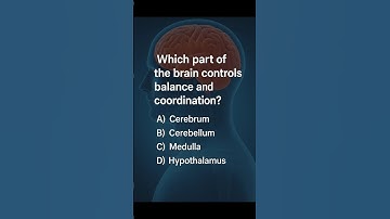 Which part of the brain controls balance and coordination? #gk #facts #quiz #study #education