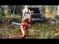 Clearing a Driveway on Raw Land | Felling trees with a Chainsaw