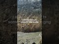 Russia military stand off