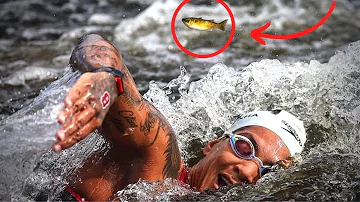 Em que consiste a maratona aquática *?