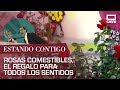 Rosas comestibles, el regalo perfecto para todos los sentidos | Estando Contigo