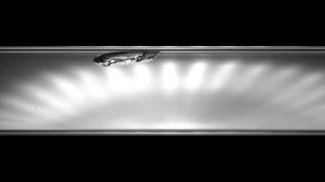 Horizontal Two-Phase R-123 Plug Flow: V006L085.mpg