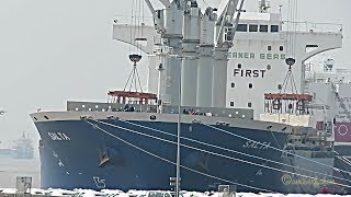 4 crane cargo seaship SALTA A8WC6 IMO 9419242 disembarks cellulose Emden