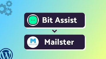 Integrating Bit Assist Form with Mailster | Step-by-Step Tutorial | Bit Integrations