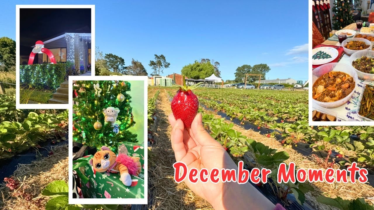 End of Year Vlog 2025 | Christmas Feasting, Cooking & Strawberry Picking