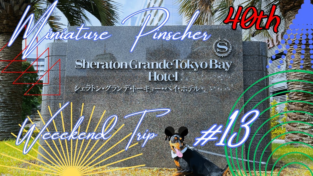 ディズニー40周年記念を愛犬と楽しむ｜シェラトン・グランデ・トーキョーベイ・ホテル｜ドッグ・ラバーズ・スイート at トーキョーベイ宿泊