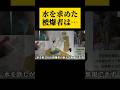 原爆で被爆者1万人が運ばれた島