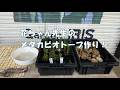 花ちゃん先生のメダカビオトープ作り！