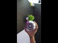 Video Image