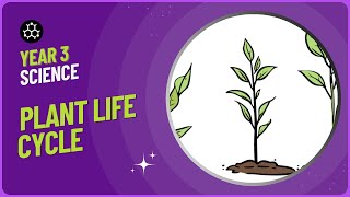 The Plant Life Cycle | Year 3 Plants | KS2 Science
