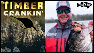 Cranking Timber for Prespawn Bass | Round Bill vs. Squarebill