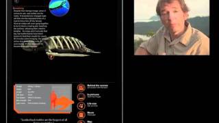 Inside Nature's Giants - the App screenshot 1
