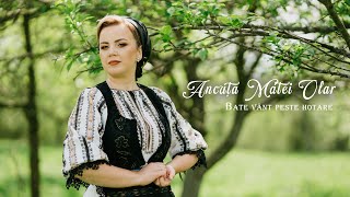 Ancuța Matei Olar - Bate vânt peste hotare