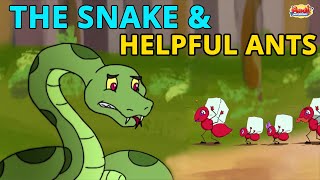 The Snake & Helpful Ants | Animated Stories | Best English Stories | Aadi And Friends