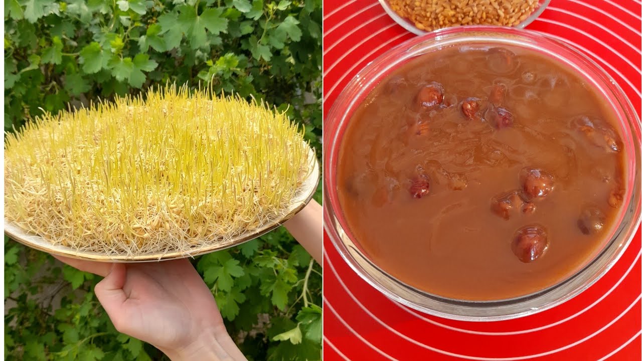 Bütün incəlikləri ilə dadlı Səməni Halvasının hazırlanması.Uğut tatlısı,Sumalak