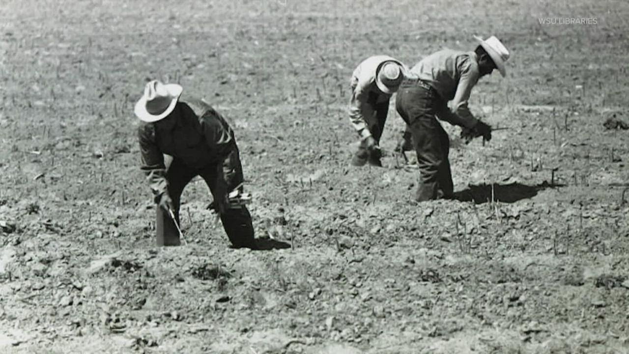 Seattle man's photos of farmworkers in the 60s ignites search for similar stories