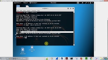 Avoiding Scanning Detection Using Multiple Decoy IP Addresses