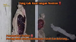 Penampakan Hantu Pocong Terjelas Dan Seram‼️ Muka H4ncuR Penuh N4nah Dan Bel4tung