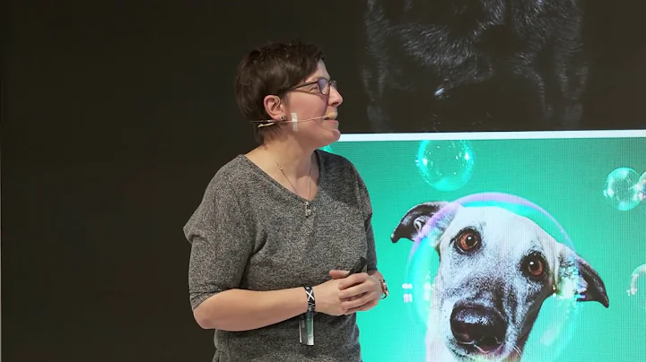 X-Photographer Elke Vogelsang (Germany) Live Stage...