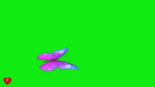 Футаж Бабочка Пурпурно Голубая Летит Хромакей