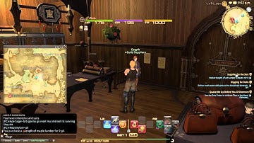 FFXIV ARR: Supplies for the Sick (Carpenter Class Quest LV 10) Cutscene