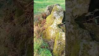 Anxo, Dolmen de Adai, Lugo. Febrero 2022