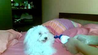 25032010.mp4