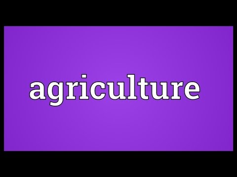 कृषि अर्थ