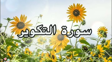 تلاوة هادئة بصوت يريح النفس سورة التكوير