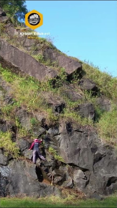 Batuan diabas #shorts #karangsambung #geopark #geologi #kebumen#melange #gunungparang #columnarjoint