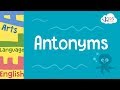 Antonyms and Their Contexts