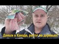 44. Денежные деревья в Канаде!