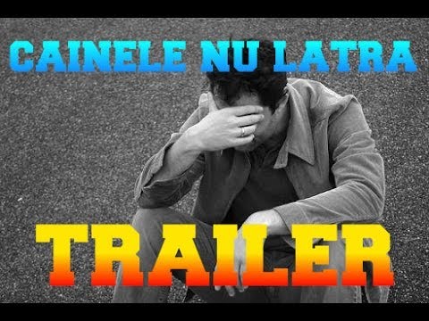 Video: Cum să înveți un ciobanesc german să nu latre