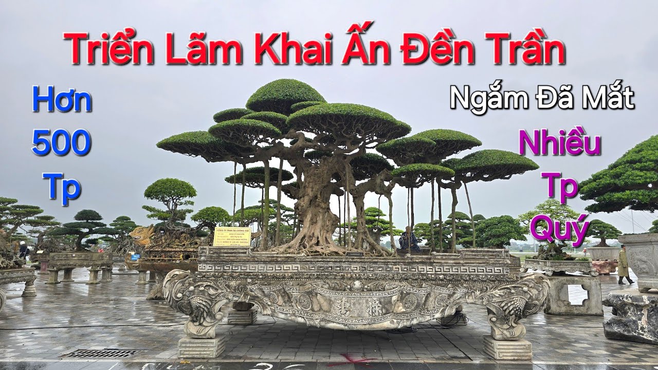 TRỰC TIẾP TOÀN CẢNH TL ĐỀN TRẦN phường Nam Định trên 500 Tp - Nhiều TP ĐỘC LẠ - SIÊU PHẨM Xuất Hiện.