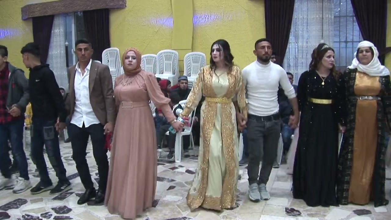 حفلات كرك فنان محمود جان مايسترو عزالدين جان وفيديو غمكين