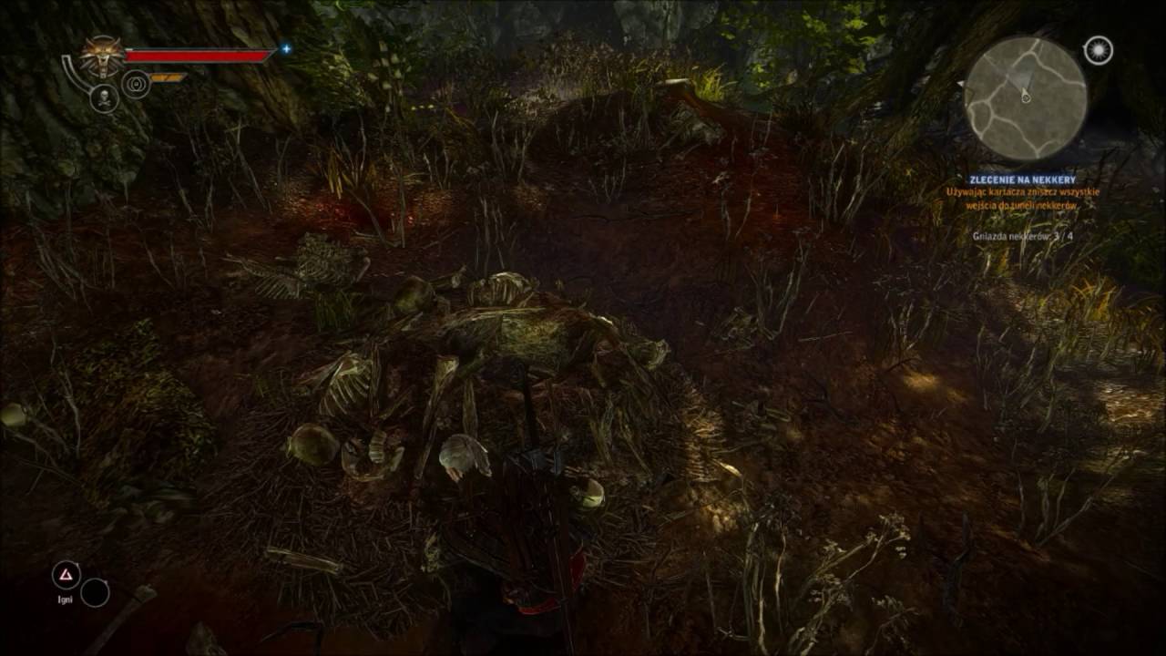 The Witcher 2 Nekker   How destroy 4 Nekker nests Map (Jak