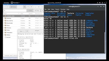 Managing Directories and Files in Linux