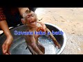 Monkey Take A Bath ! Abandon Sovana Got Take A Bath By Homeless Mom / Sovana So Cool Shaking Body