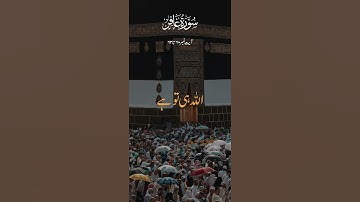 Surah Ghafir  No 60 - 62  QURANI AYAT STATUS (سورة غافر) Presented By Tazeenul Quran