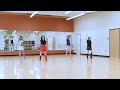 Brand New Moves (WCLDM2025) - Line Dance (Dance &amp; Teach)