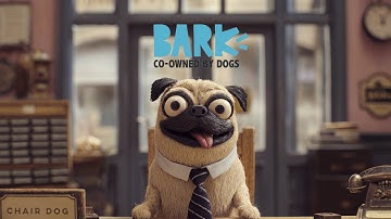 BarkBox Ad - "Co-Owned By Dogs"