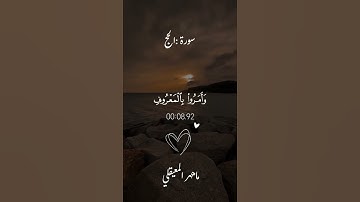 الَّذِينَ إِن مَّكَّنَّاهُمْ فِي الْأَرْضِ أَقَامُوا الصَّلَاةَ|#سورة_الحج #ماهر_المعيقلي .