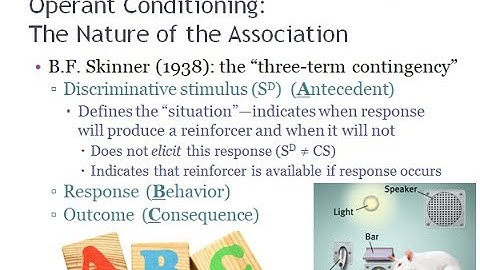 PSYC 370 Video Lecture - The "ABC" Association in Operant Conditioning