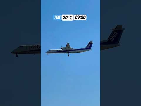 ANA De Havilland Aircraft of Canada Landing #q400 #osakajapan #landing #enginesound