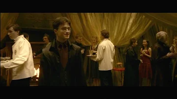 What role did Paul Ritter have in Harry Potter?