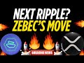 Why Zebec Will Survive the Next Bull Run (While Others Die) -news