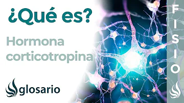 Cosa vuol dire corticotropina?