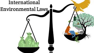 International Environmental Laws and Agreements ( Unit 6)