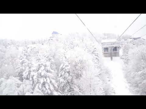 蔵王山頂ロープウェイからの樹氷